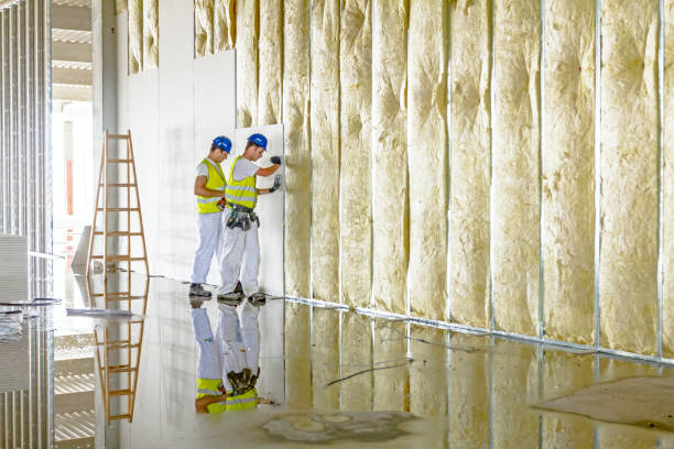 Best Insulation Maintenance and Repair in Harriman, TN